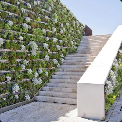 Diseño de muros verdes