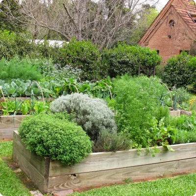 Diseño de huertas urbanas